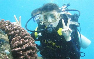 珊瑚礁潜水探秘图片，探秘绚丽多彩的珊瑚礁潜水之旅