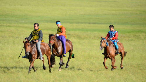 内蒙古草原骑马体验：奔驰在无尽绿波中的激情与自由