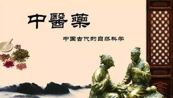 中华传统文化中医药文化